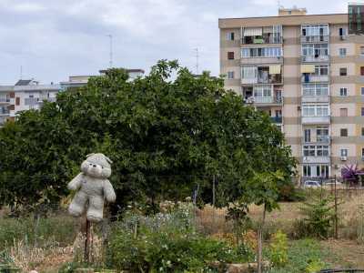 ...e da un orso di peluche �spaventapasseri�, dove vengono coltivate piante di ogni genere...